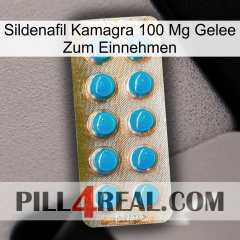 Sildenafil Kamagra 100Mg Oral Jelly new09
